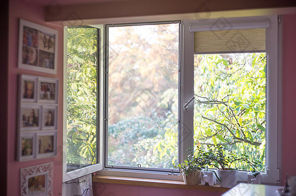 安静的房间窗口打开阳光明媚的温暖的花园