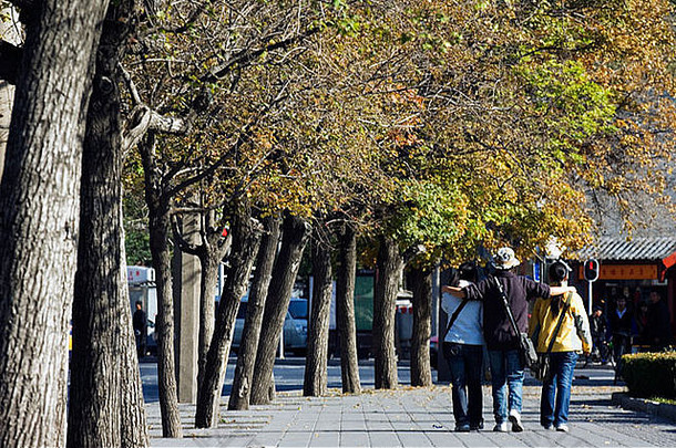 秋天颜色yuyuantan公园北京中国
