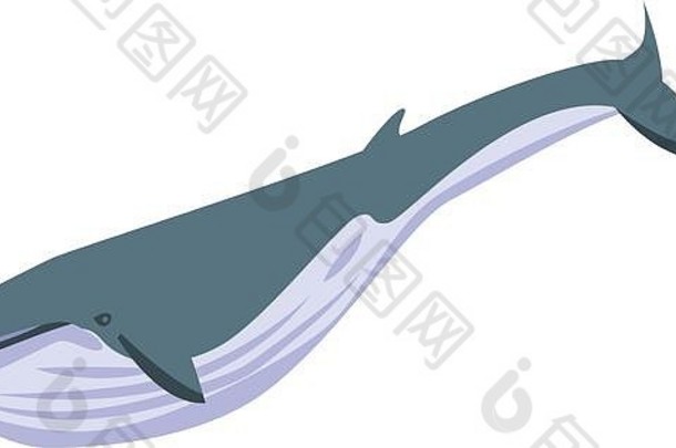 海洋鲸鱼图标等角风格