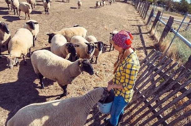 农民女人群羊
