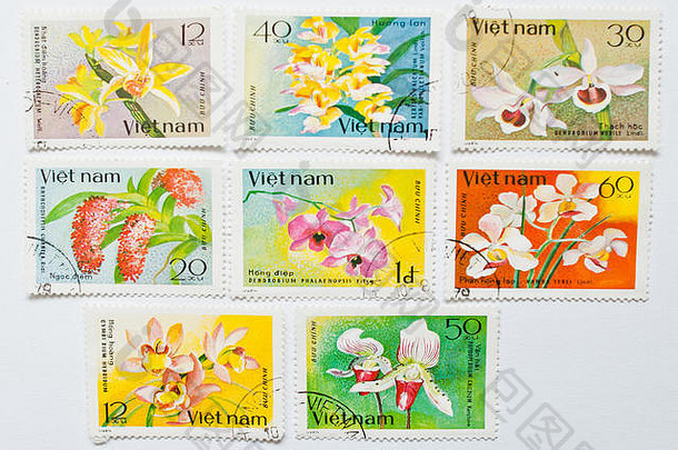 乌日哥罗德乌克兰约集合邮资邮票印刷越南显示兰花花约