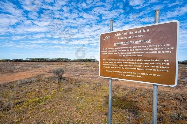 边界骑手水潭兔子证明栅栏西方澳大利亚