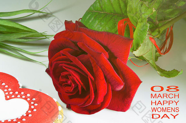 红色的玫瑰绿色叶红色的心白色背景礼物情人节天3月