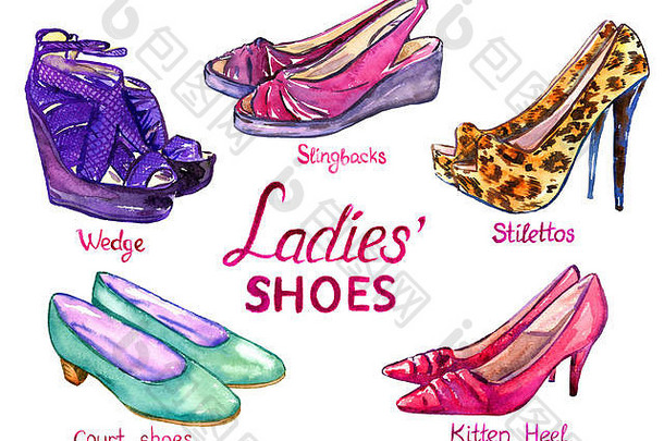 现代女士们鞋子集合楔穿高跟鞋法院鞋子小猫非常孤立的登记手画水彩幻影