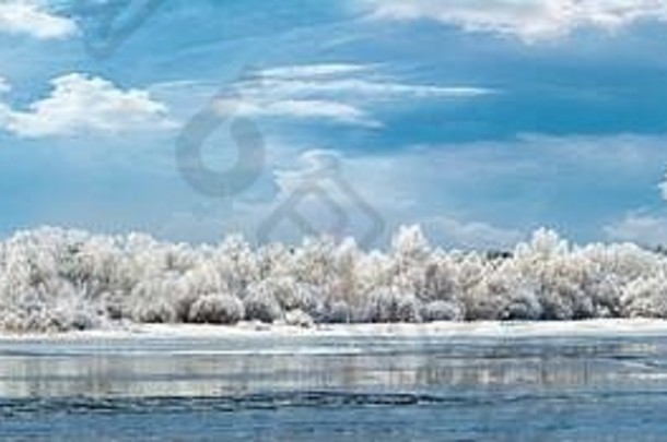 冬天景观树霜图像使照片