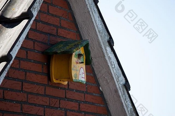 鸟野生动物嵌套盒子花园阳台埃姆斯兰较低的萨克森北西德国