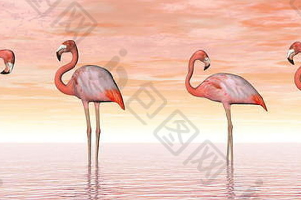 粉红色的火烈鸟站水日落光渲染
