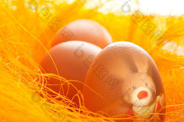 复活节鸡蛋毛橙色巢