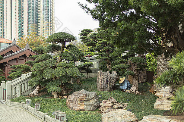 园丁维护花园南梁花园在香港香港