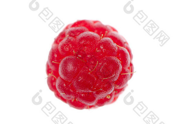 极端的宏红色的树莓白色背景