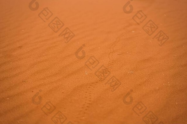 纹理红色的沙子结构行小石头