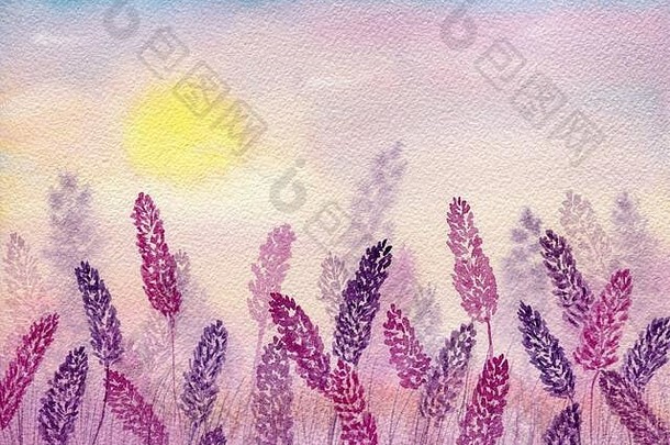 水彩薰衣草场紫色的粉红色的色调美丽的自然摘要景观设计