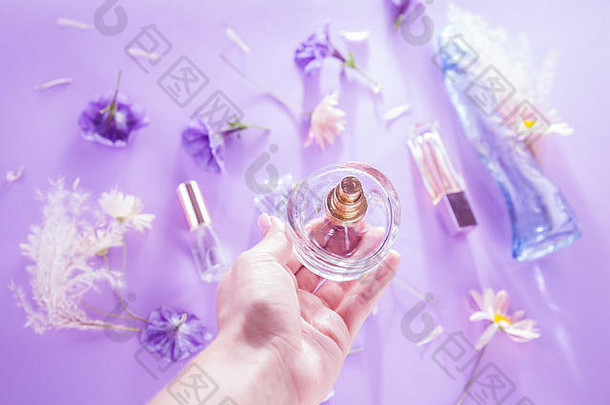 女人持有瓶香水花紫色的背景
