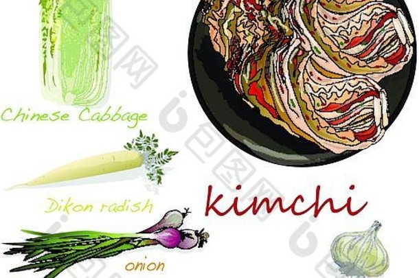 泡菜传统的朝鲜文食物插图白色成分泡菜