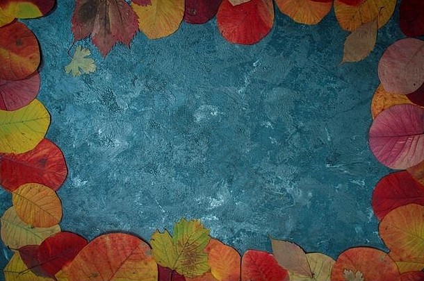 彩色的背景秋天叶子的地方文本