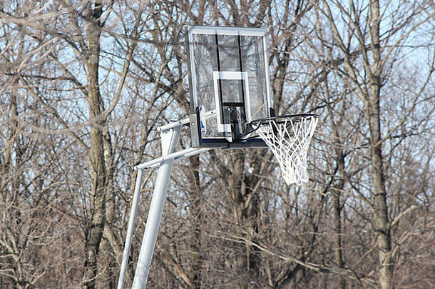篮球站网法院森林只树