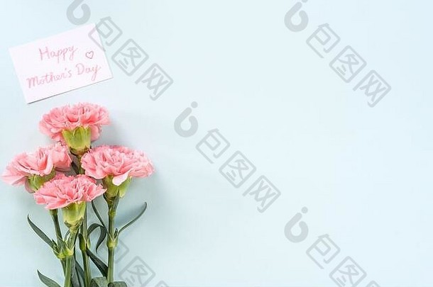 母亲的一天背景康乃馨群美丽的苍白的粉红色的花花束孤立的柔和的蓝色的表格前视图平躺复制空间设计