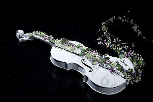 小提琴仪器音乐花经典<strong>字</strong>符串音乐的阀杆美古董自然花瓣木浪漫美丽的传统的
