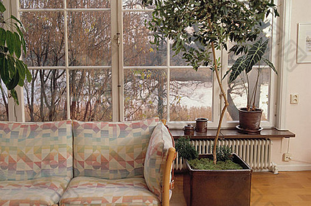 有图案的垫子苍白的<strong>木沙发</strong>生活房间高树能前面大窗口