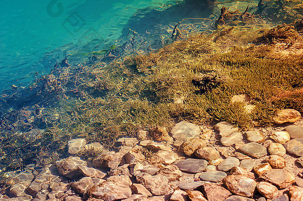 清晰的蓝色的水山湖岩石底覆盖藻类