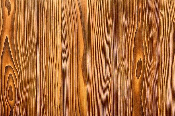 美丽的模式木纤维形式光滑的木单板垂直指南