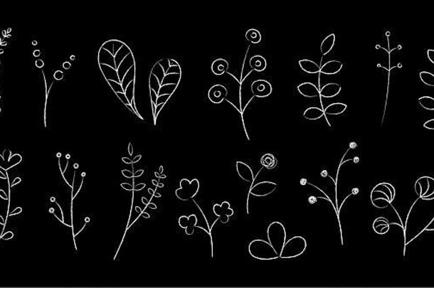 手画花植物勾勒出插图集团草图花轮廓白色粉笔风格图纸孤立的黑板上婚礼邀请优雅的植物装饰