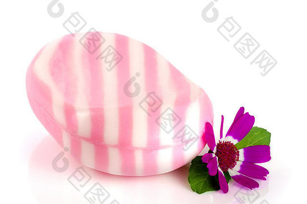 白色粉红色的条纹肥皂花孤立的白色背景