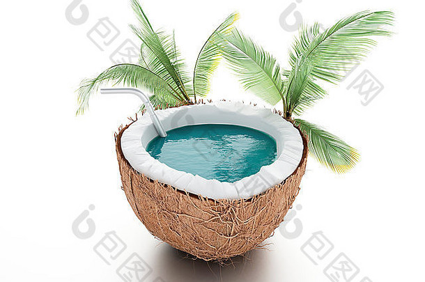 椰子天堂热带概念白色背景