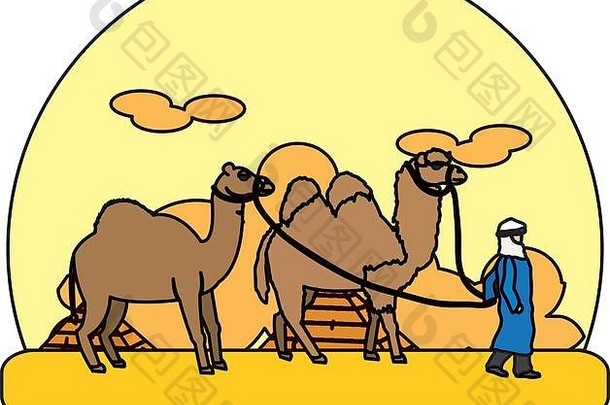颜色男人。单峰骆驼骆驼沙漠景观