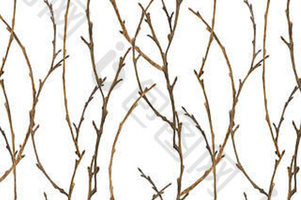 植物水彩冬天分支机构木无缝的模式圣诞节纺织网络设计
