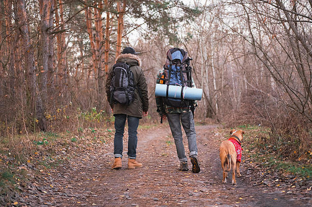 活跃的休息在户外人狗徒步旅行森林城市技术概念背包客狗享受