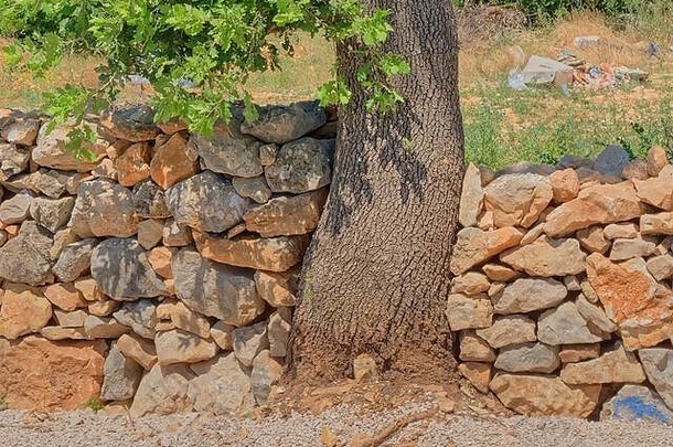 树削减传统的干墙克罗地亚