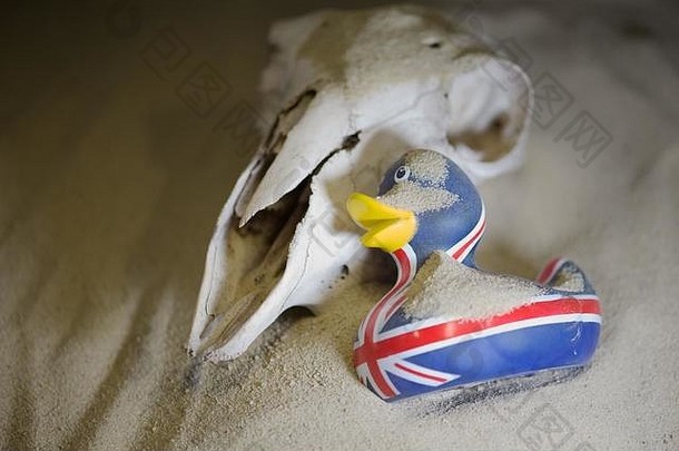 英国干旱羊的头骨橡胶鸭printedwith联盟杰克包围沙子描述干旱英国
