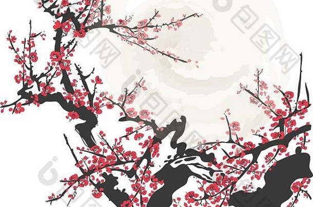 现实的樱花开花日本樱桃树孤立的白色背景