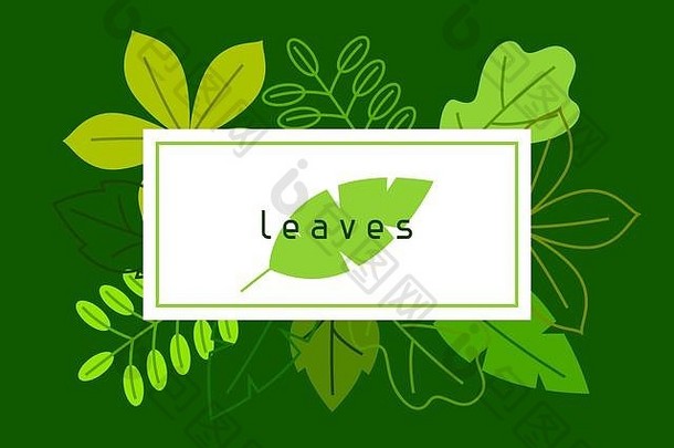 自然卡程式化的绿色叶子春天夏天树叶