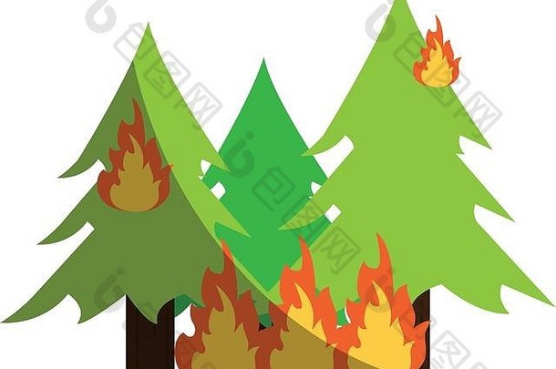 树燃烧森林