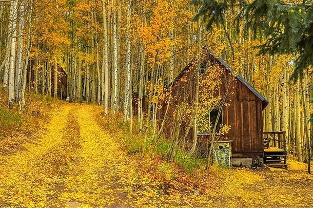 科罗拉多州景观秋天