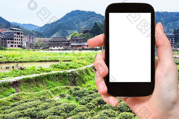 旅行概念旅游照片茶大米字段灌溉运河城阳村sanjiang盾自治县中国斯普尔