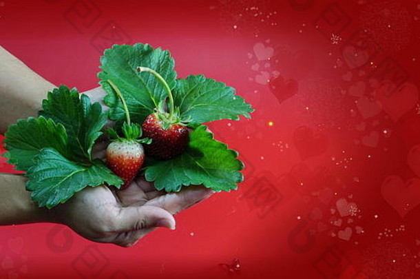 草莓心红色的背景草莓味道香味受欢迎的草莓广泛各种制造业
