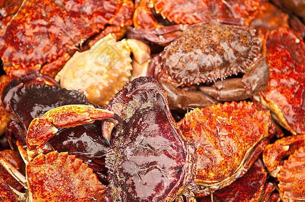 生活螃蟹出售港海鲜节日圣诞老人芭芭拉加州曼联州美国