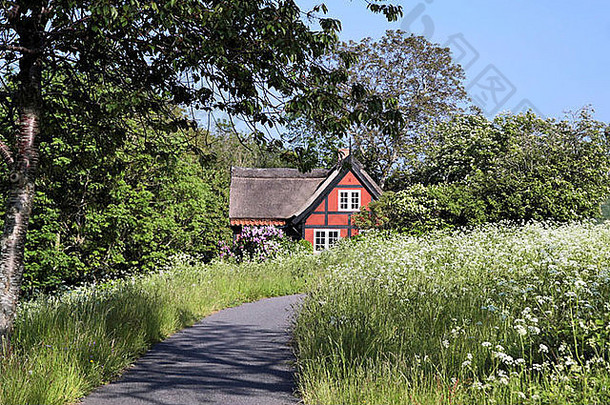 田园红色的假期小屋开花草地上市博恩霍尔姆岛丹麦