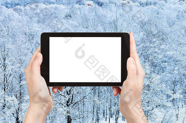 季节概念<strong>旅游照片</strong>冻森林冬天平板电脑减少屏幕空白的地方广告