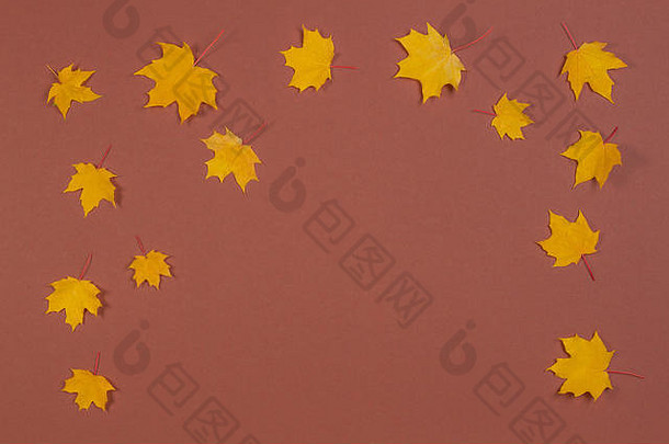 秋天作文框架使秋天枫木叶子棕色（的）背景