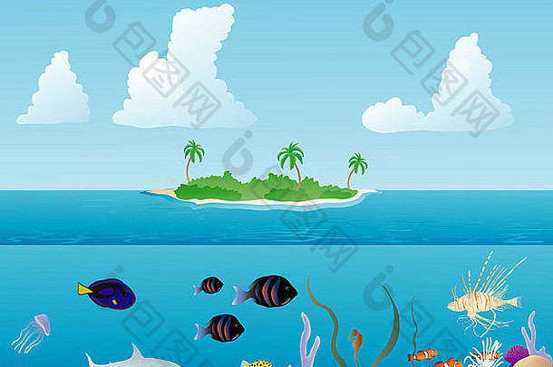 热带鱼游泳礁热带岛背景