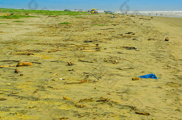 户外视图被丢弃的垃圾海滨海滩沙子