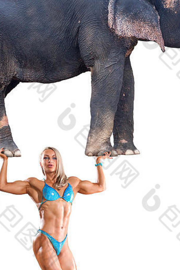 摘要概念照片强大的女人持有大象手孤立的白色背景