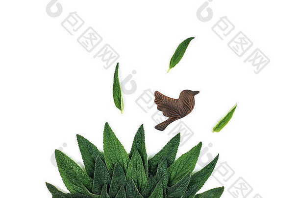 有创意的最小的布局绿色叶子粘土鸟