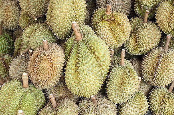榴莲王水果著名的水果泰国