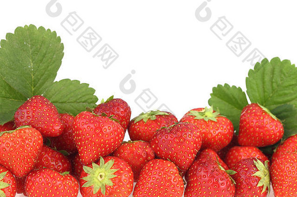 横幅新鲜的成熟的草莓