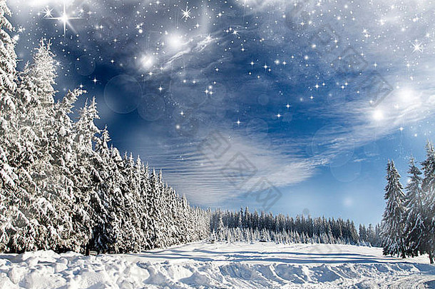 圣诞节背景雪冷杉树灿烂天空